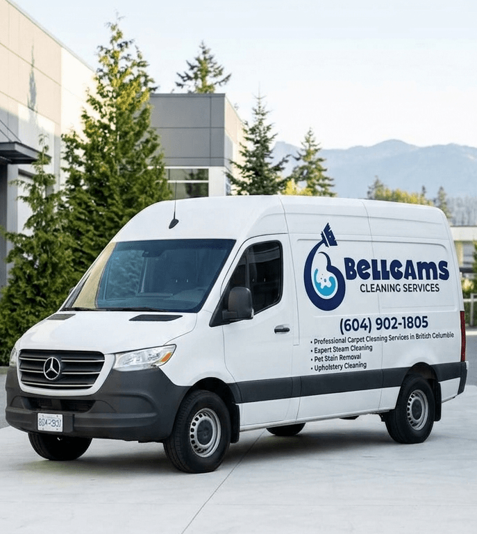 Pet Odor & Stain Removal